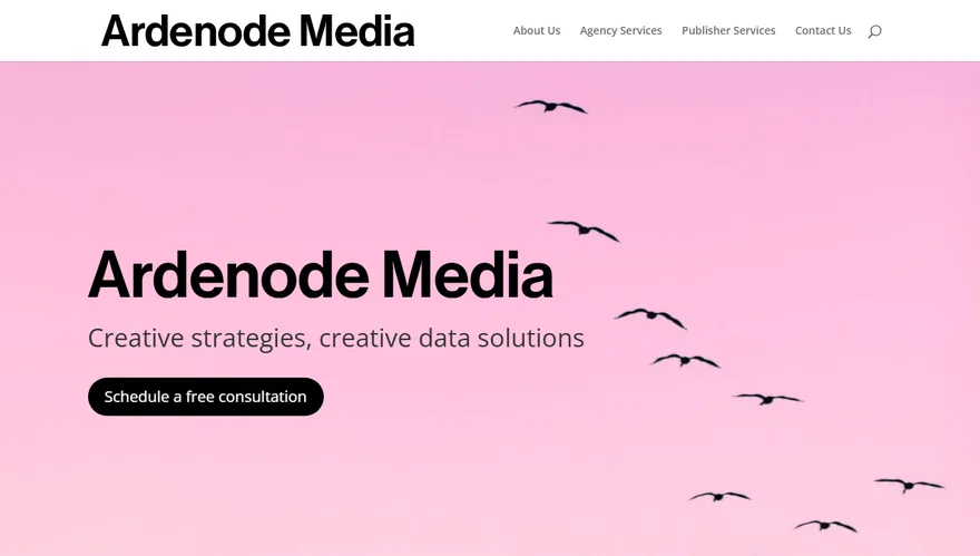 Ardenode Media homepage: 'Creative strategies, creative data solutions' over a pink sky with birds in flight